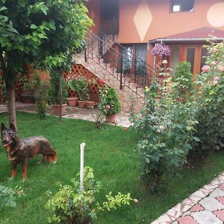 Olimpia Apartments Алба-Юлия Экстерьер фото