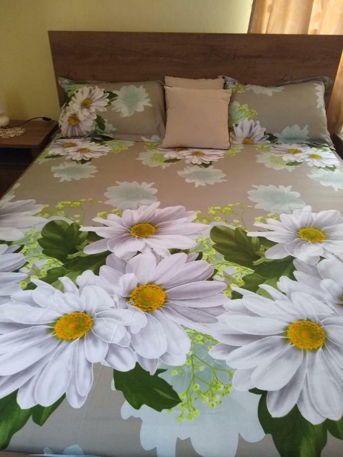 Olimpia Apartments Алба-Юлия Экстерьер фото